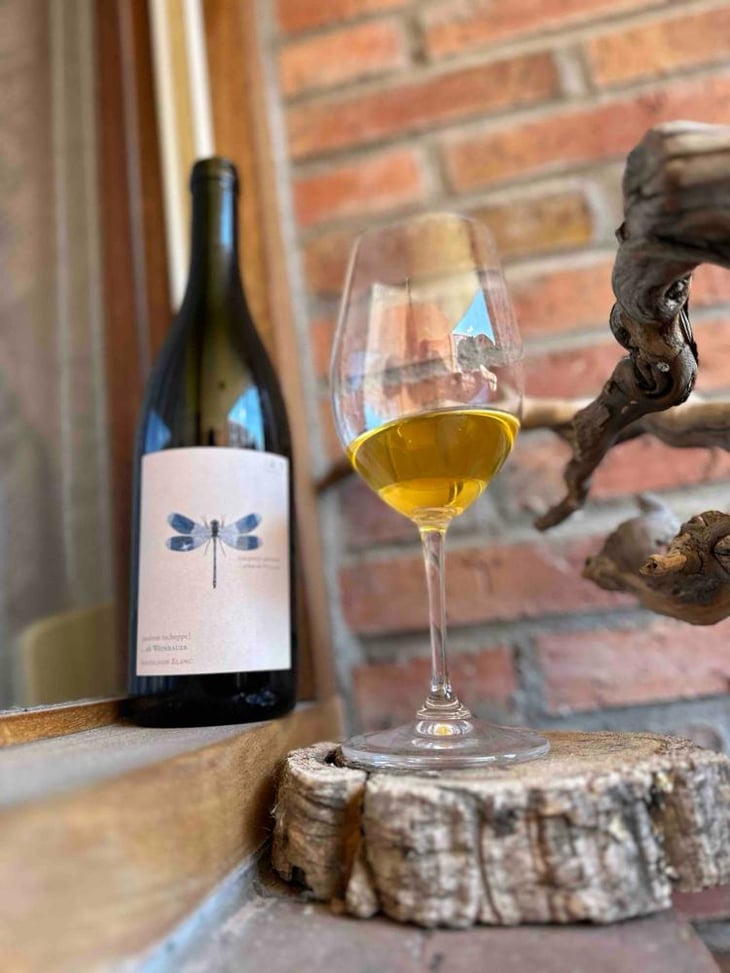 Blaue Libelle - Sauvignon Blanc - Weingut Andreas & Elisabeth Tscheppe - Andreas & Elisabeth Tscheppe 
