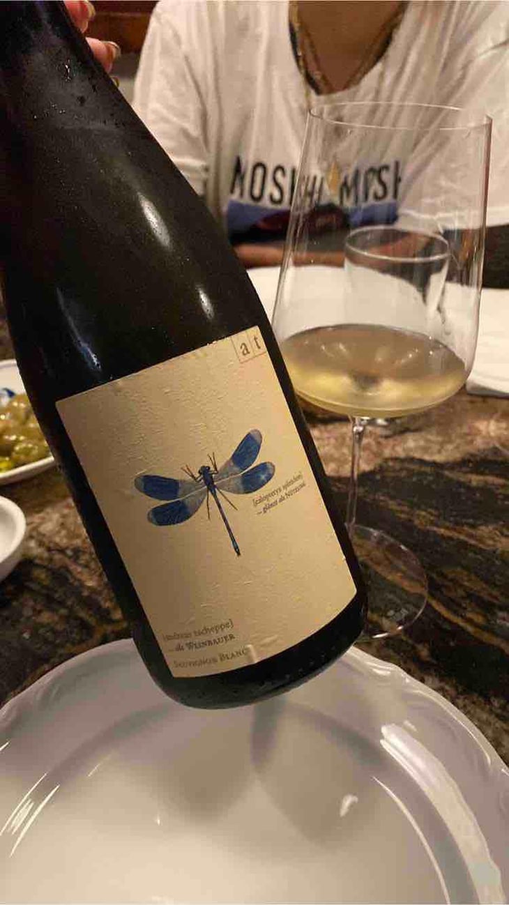 Blaue Libelle - Sauvignon Blanc - Weingut Andreas & Elisabeth Tscheppe - Andreas & Elisabeth Tscheppe 