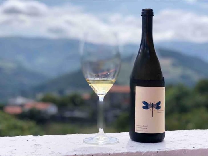 Blaue Libelle - Sauvignon Blanc - Weingut Andreas & Elisabeth Tscheppe - Andreas & Elisabeth Tscheppe 