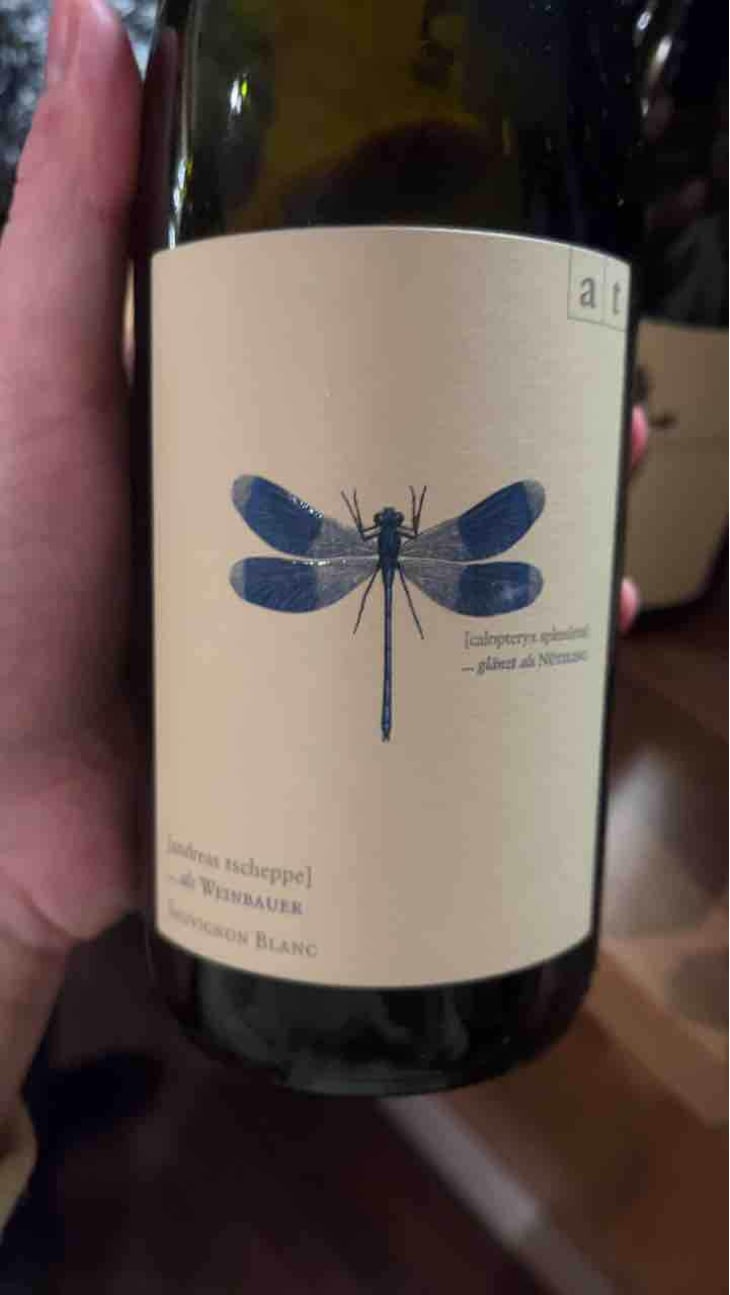 Blaue Libelle - Sauvignon Blanc - Weingut Andreas & Elisabeth Tscheppe - Andreas & Elisabeth Tscheppe 