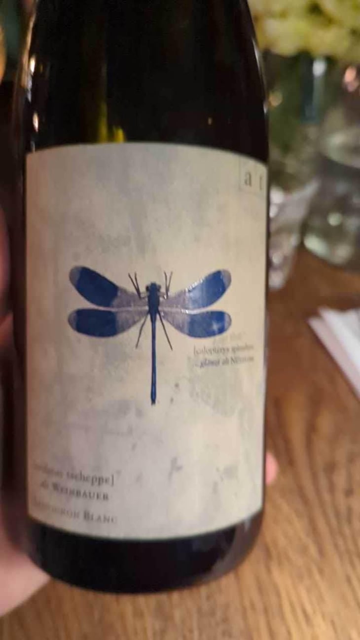 Blaue Libelle - Sauvignon Blanc - Weingut Andreas & Elisabeth Tscheppe - Andreas & Elisabeth Tscheppe 