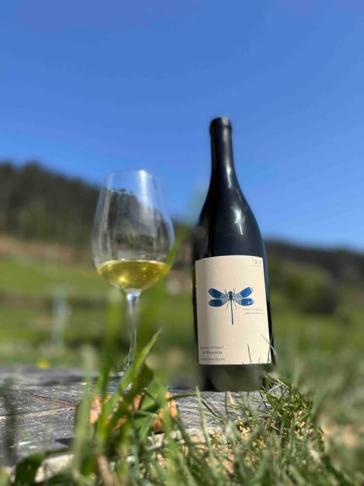 Blaue Libelle - Sauvignon Blanc - Weingut Andreas & Elisabeth Tscheppe - Andreas & Elisabeth Tscheppe 