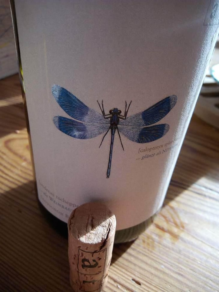 Blaue Libelle - Sauvignon Blanc - Weingut Andreas & Elisabeth Tscheppe - Andreas & Elisabeth Tscheppe 