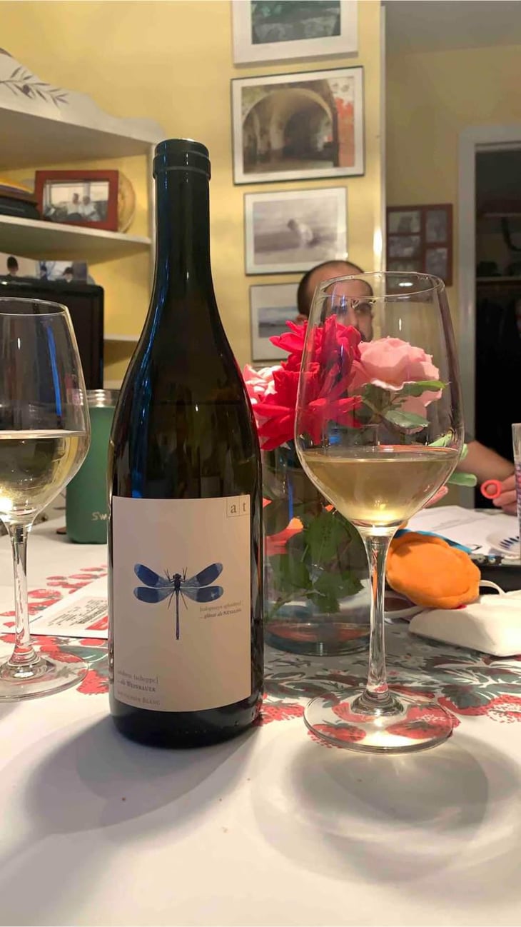 Blaue Libelle - Sauvignon Blanc - Weingut Andreas & Elisabeth Tscheppe - Andreas & Elisabeth Tscheppe 