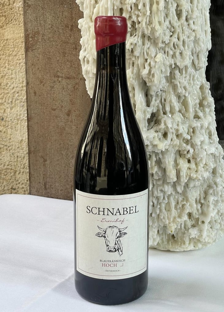 Blaufränkisch Hochegg - Weingut Karl Schnabel - Karl & Eva Schnabel 