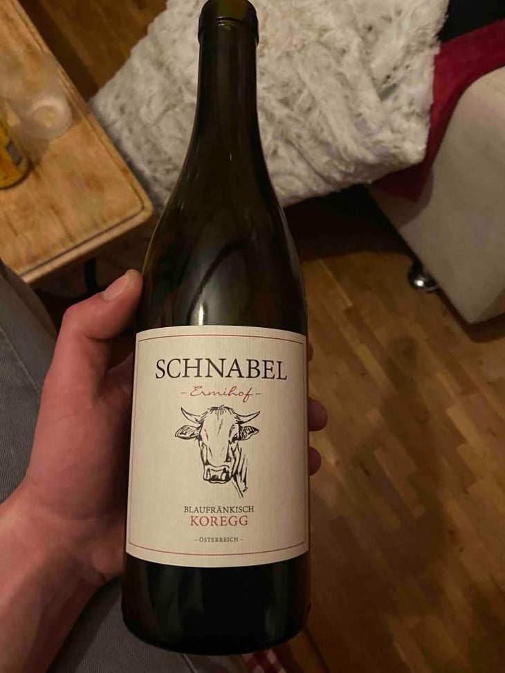 Blaufrankisch Koregg - Weingut Karl Schnabel - Karl & Eva Schnabel -2017