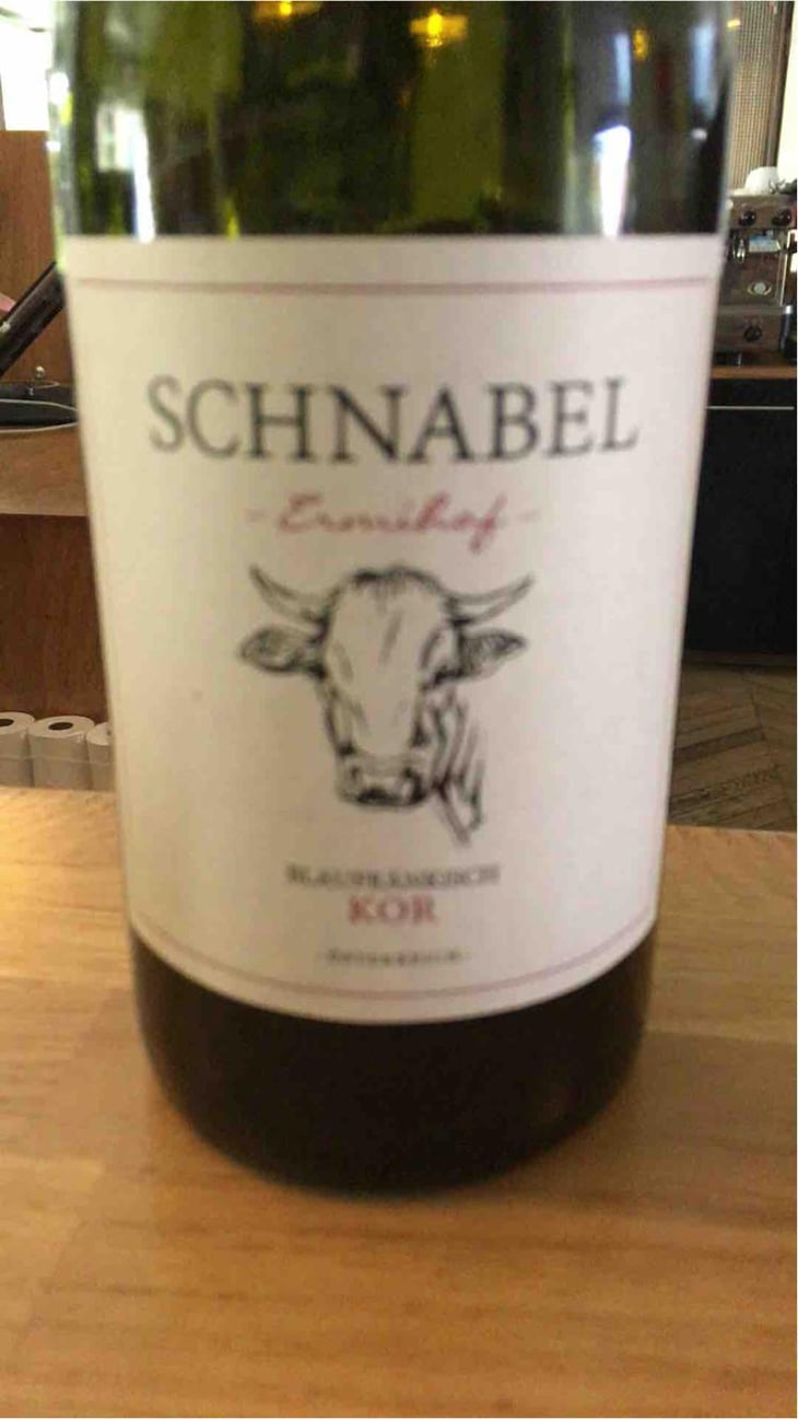 Blaufrankisch Koregg - Weingut Karl Schnabel - Karl & Eva Schnabel -2017