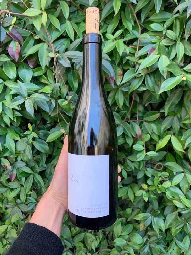 Blaufränkisch Kalkstein - Weingut Claus Preisinger - Claus Preisinger 