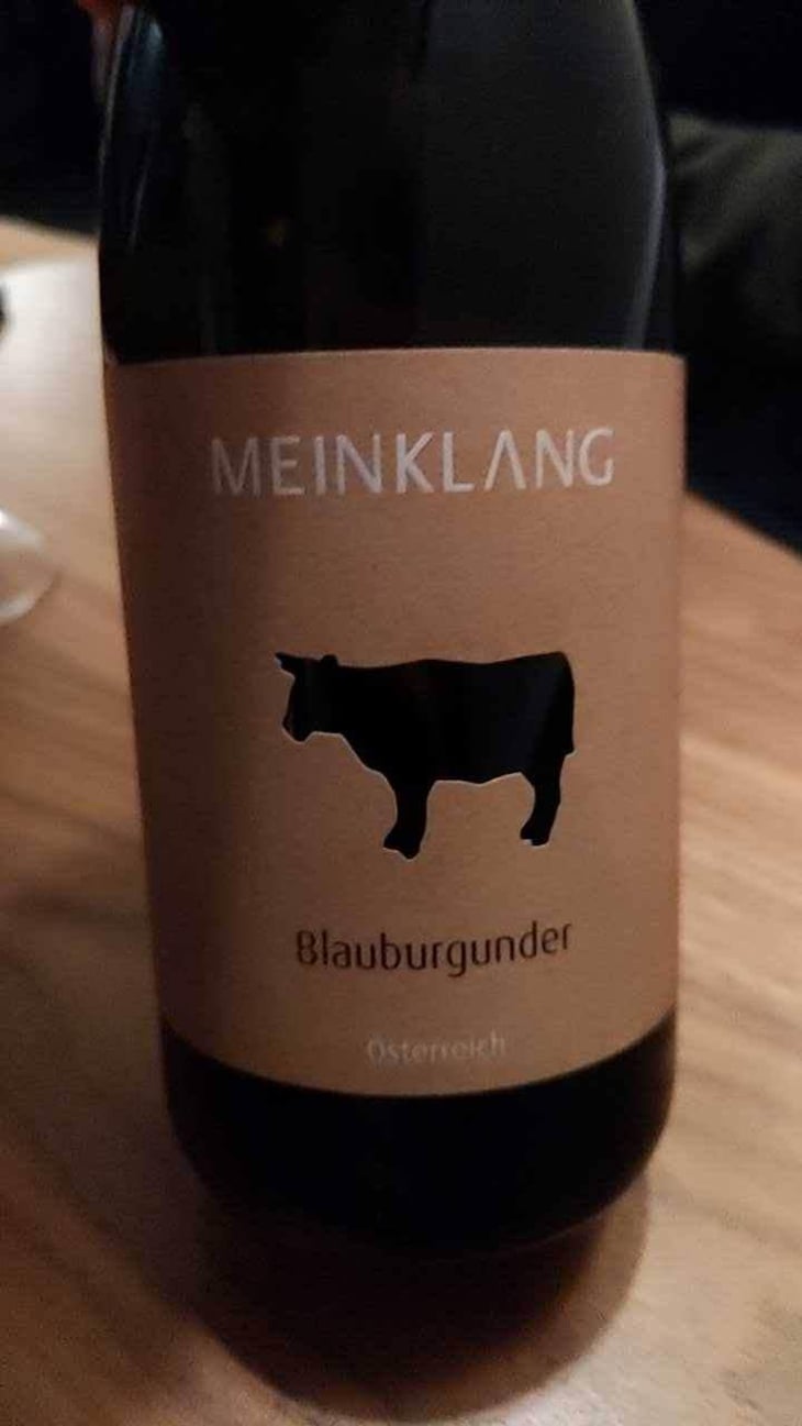 Blaufränkisch - Meinklang - Weingut Michlits - Angela & Werner Michlits 