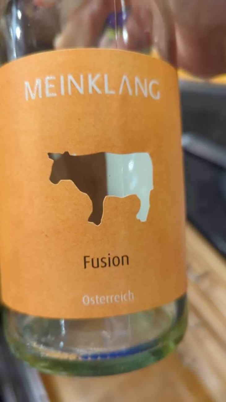 Blaufränkisch - Meinklang - Weingut Michlits - Angela & Werner Michlits 