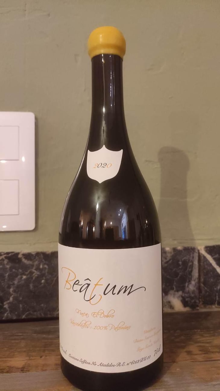 Beatum Blanco - Goyo Garcia Viadero - Goyo Garcia Viadero -2019