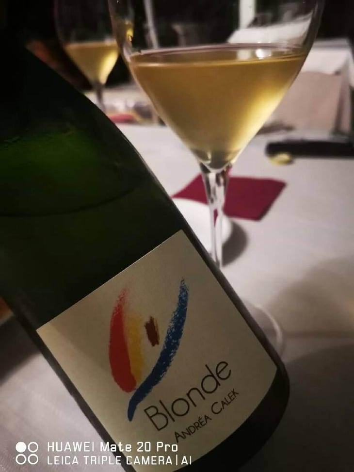 Blonde - Andrea Calek - Andrea Calek et Stephana Nicolescu 