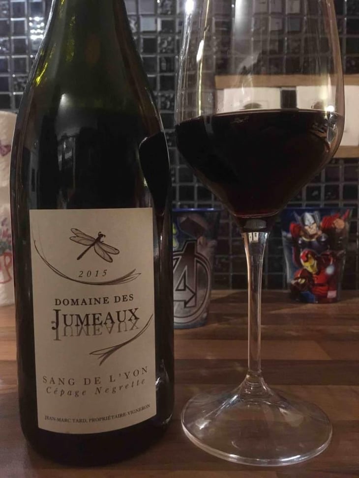 Sang De L'Yon - Domaine des Jumeaux - Maryline & Jean-Marc Tard 
