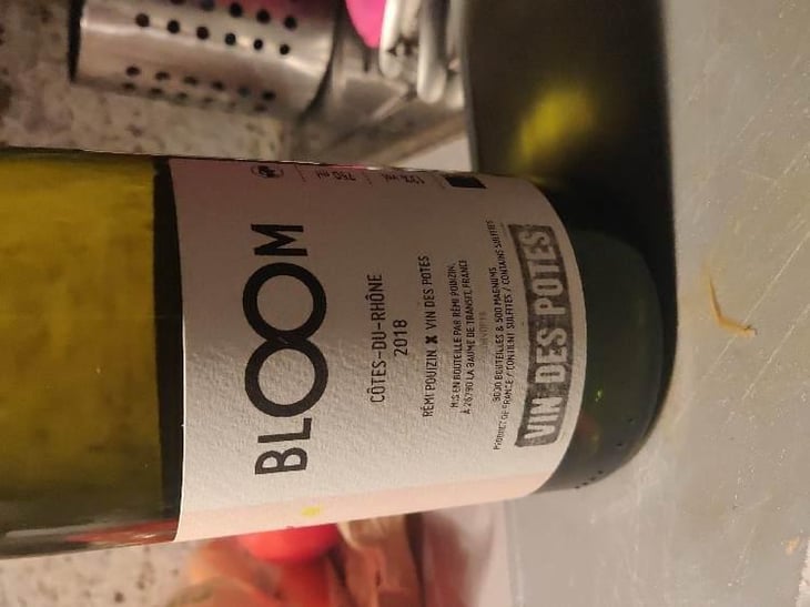 Bloom X Rémi Pouizin - Vin des Potes - Basile Passe 