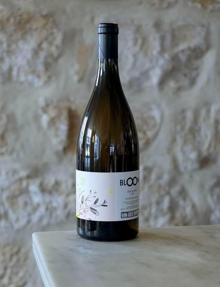 Bloom X Rémi Pouizin - Vin des Potes - Basile Passe 
