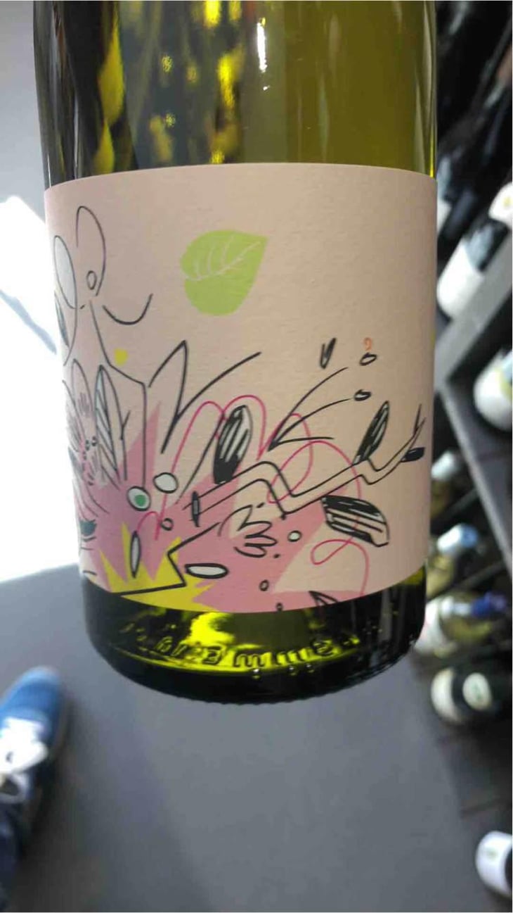 Bloom X Rémi Pouizin - Vin des Potes - Basile Passe 