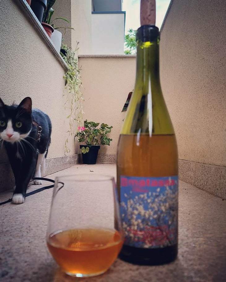 Blossom - Domaine Matassa - Tom Lubbe 