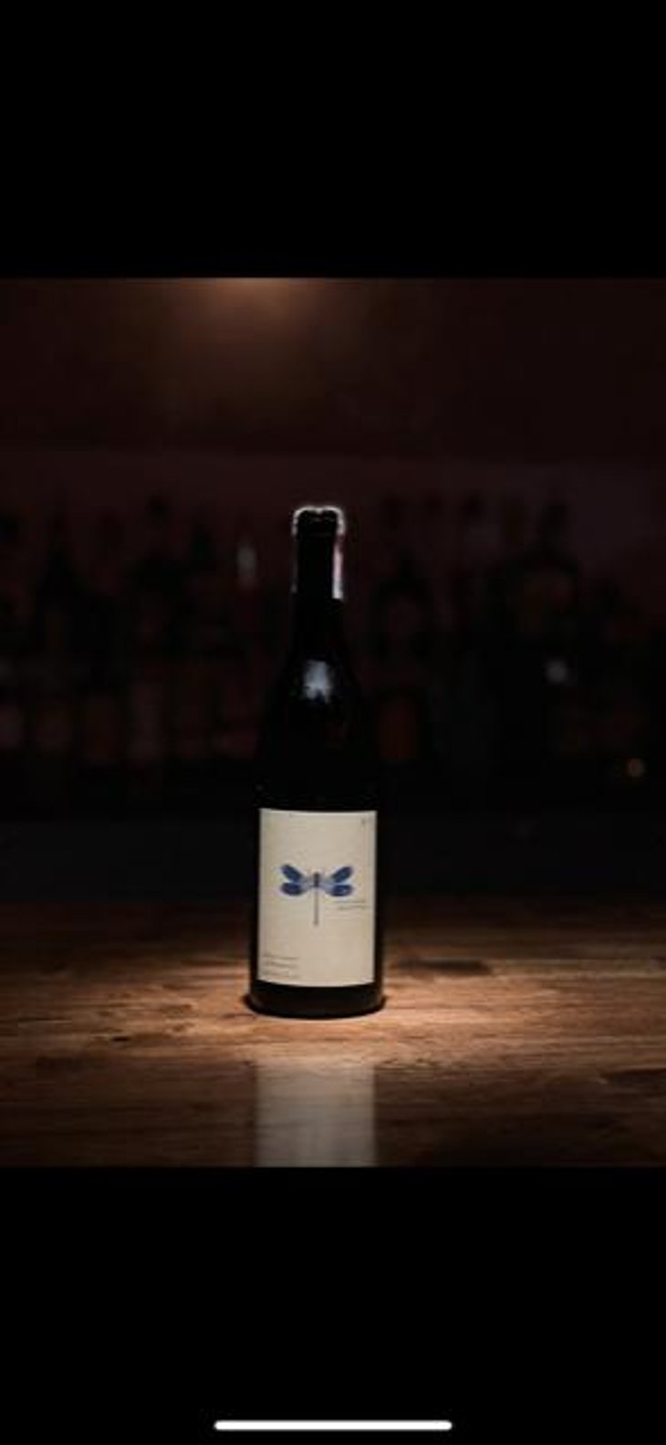 Blaue Libelle - Sauvignon Blanc - Weingut Andreas & Elisabeth Tscheppe - Andreas & Elisabeth Tscheppe 