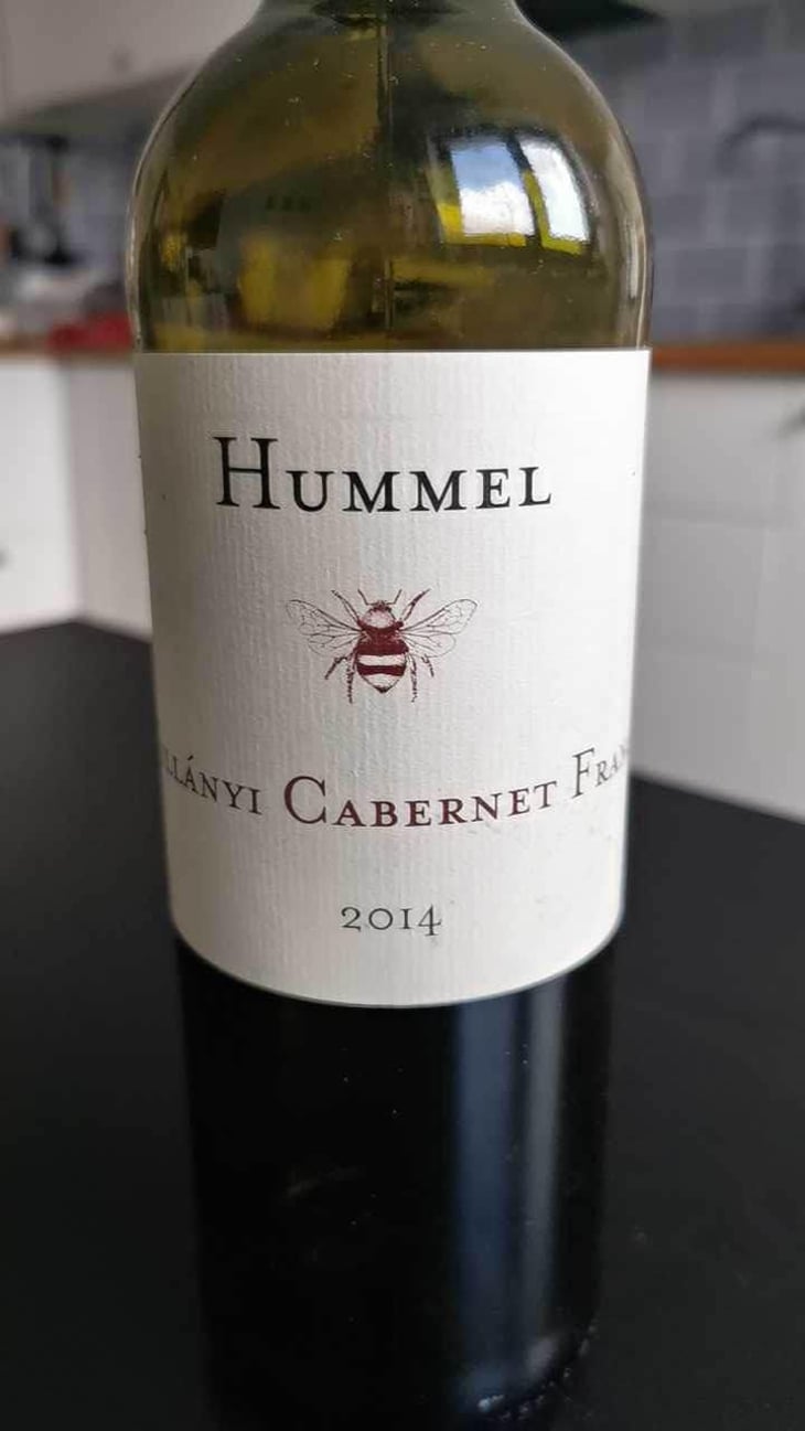 Kékfrankos - Hummel Pincészet - Weingut Hummel - Horst Hummel 