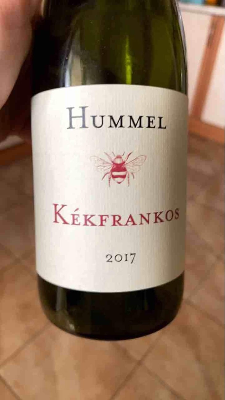 Kékfrankos - Hummel Pincészet - Weingut Hummel - Horst Hummel 