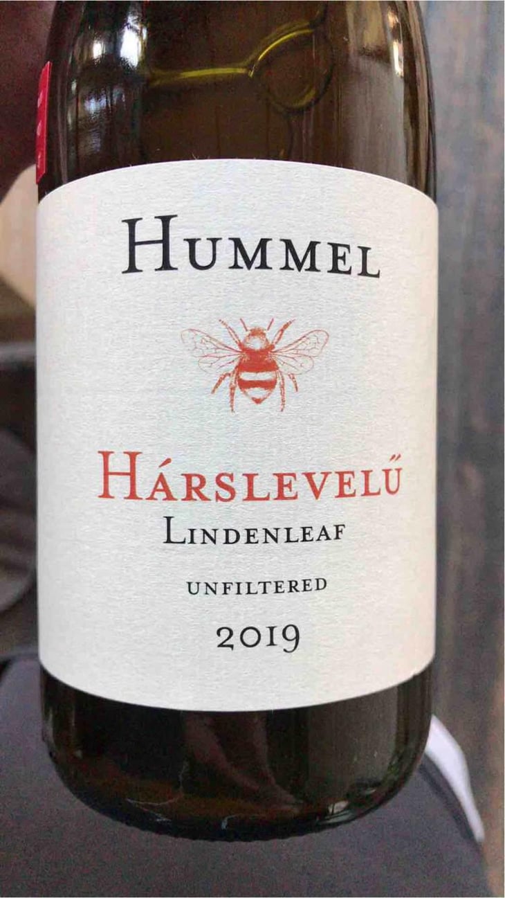 Kékfrankos - Hummel Pincészet - Weingut Hummel - Horst Hummel 