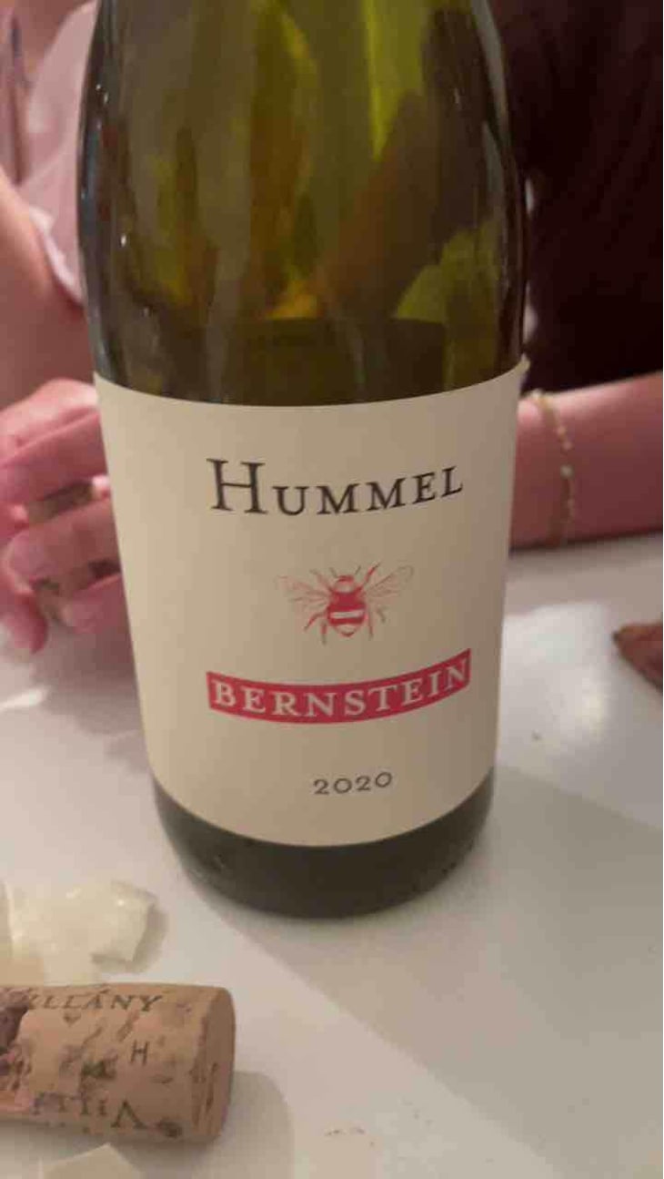 Kékfrankos - Hummel Pincészet - Weingut Hummel - Horst Hummel 