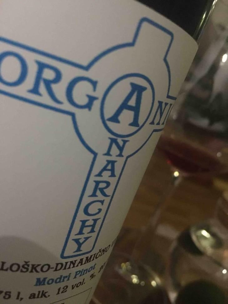 Modri Pinot - Organic Anarchy - Aci Urbajs 