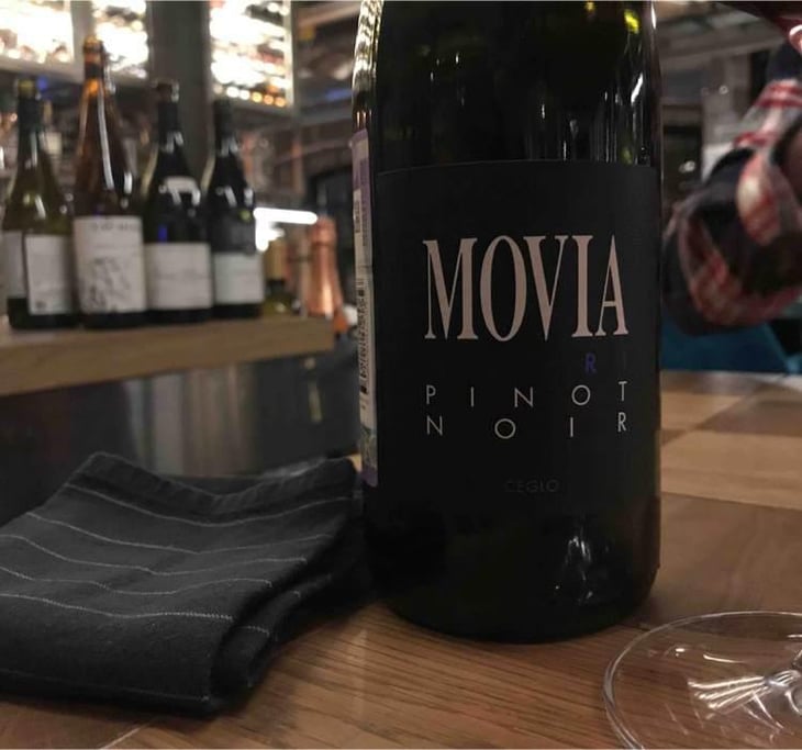 Modri Pinot - Movia - Aleš Kristančič 
