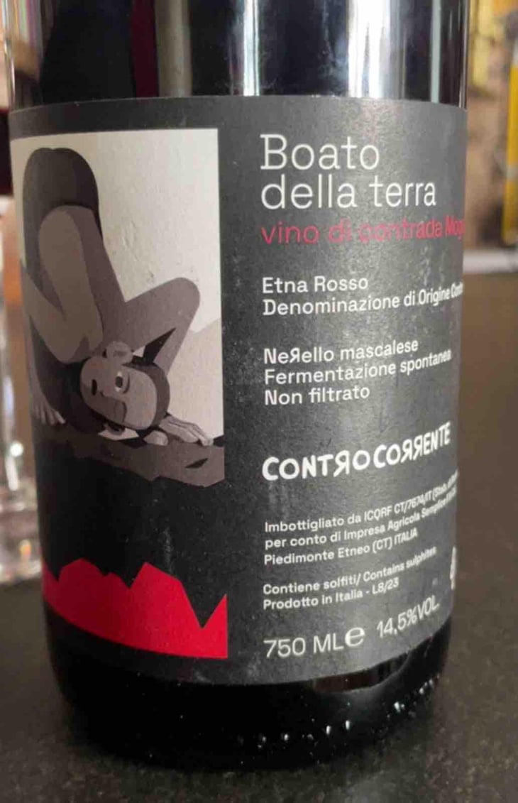 Boato della Terra - Controcorrente - Antonino Calì -2024