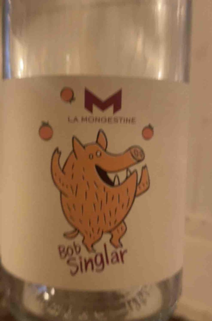 Bob Singlar Orange - Domaine de la Mongestine - Maxime Gamard , Céline & Harry Gozlan -2022