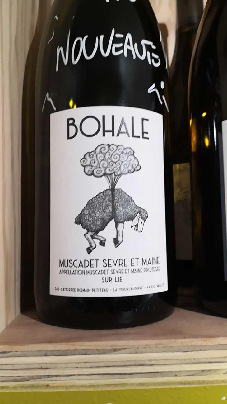 Bohale - Domaine de la Tourlaudière - Romain Petiteau 