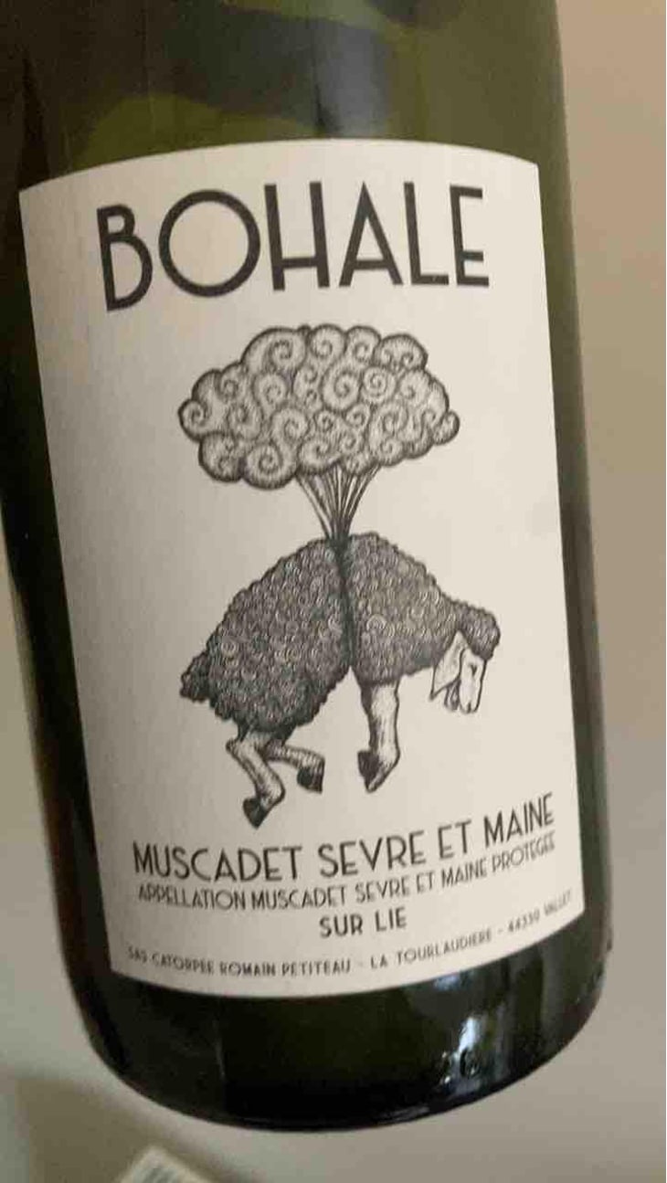 Bohale - Domaine de la Tourlaudière - Romain Petiteau 