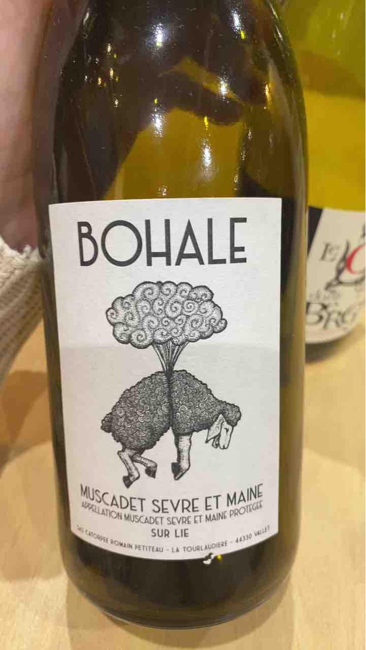 Bohale - Domaine de la Tourlaudière - Romain Petiteau 