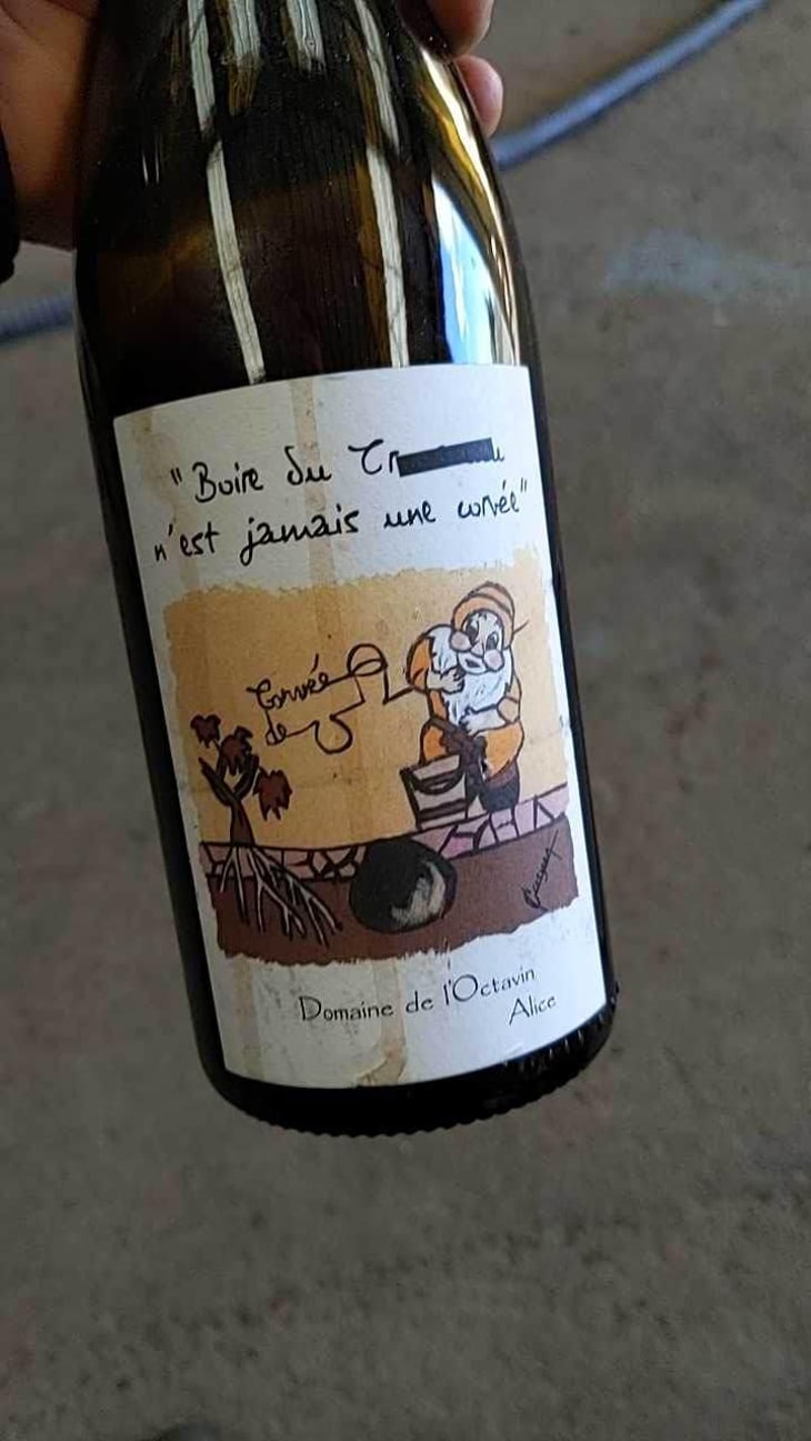 Boire Du Boire du Trou-trou N'Est Jamais Une Corvée - Domaine de l'Octavin - Alice Bouvot 