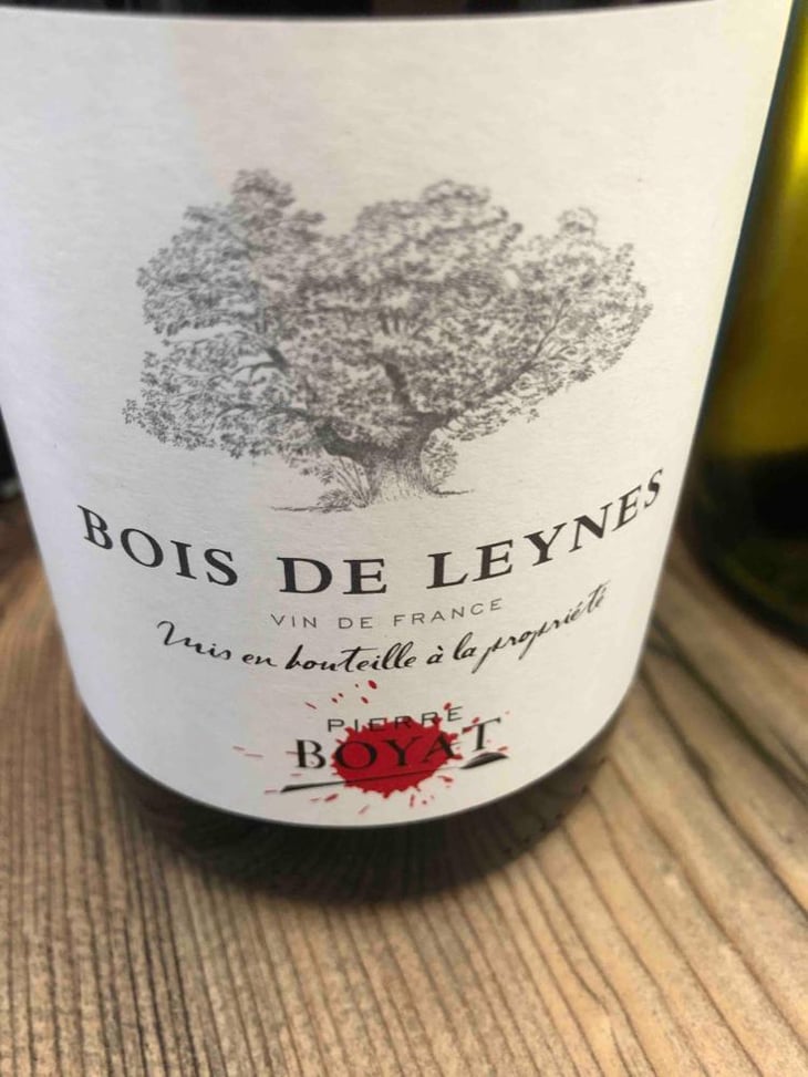 Bois de Leynes - Pierre Boyat - Pierre Boyat 
