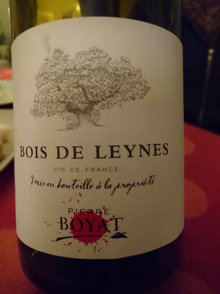Bois de Leynes - Pierre Boyat - Pierre Boyat 