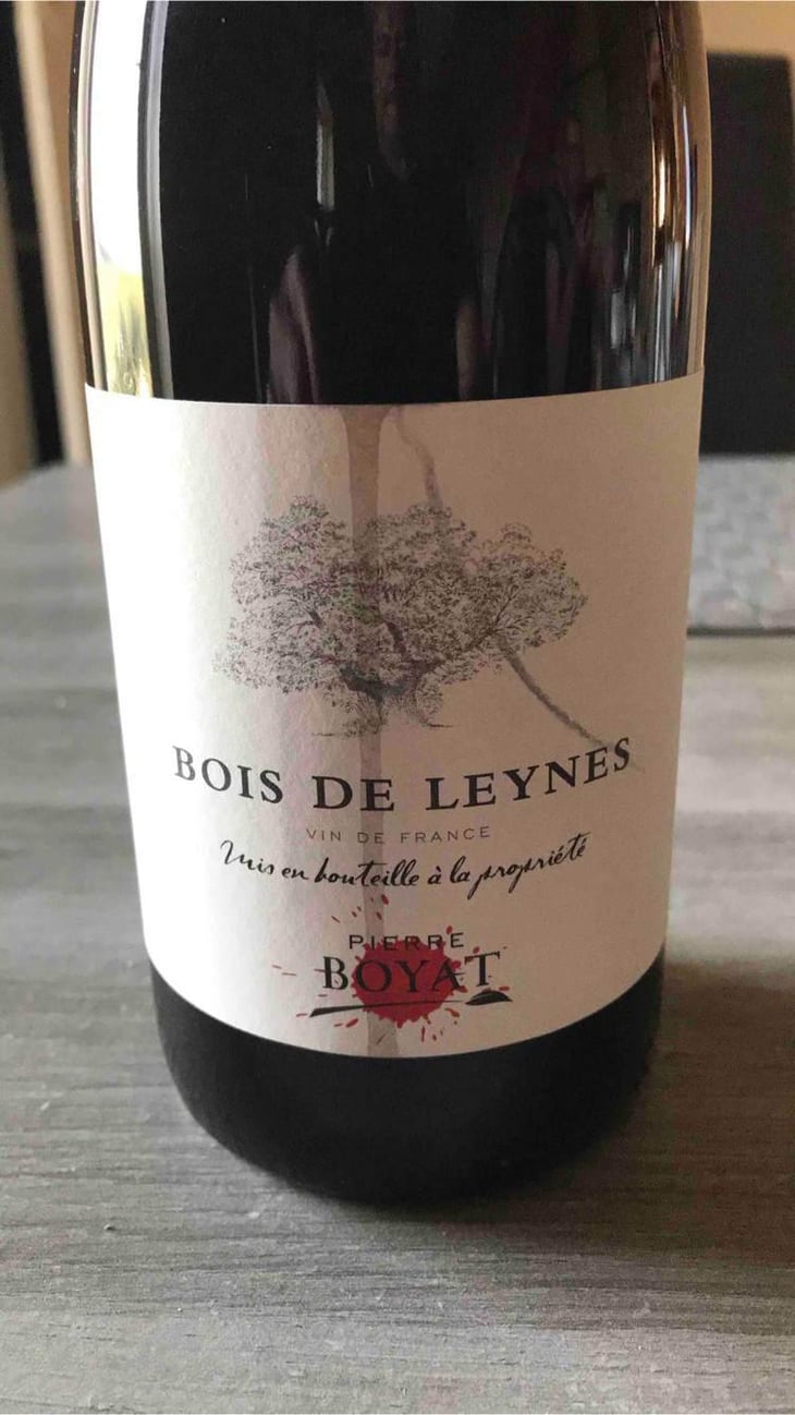 Bois de Leynes - Pierre Boyat - Pierre Boyat 
