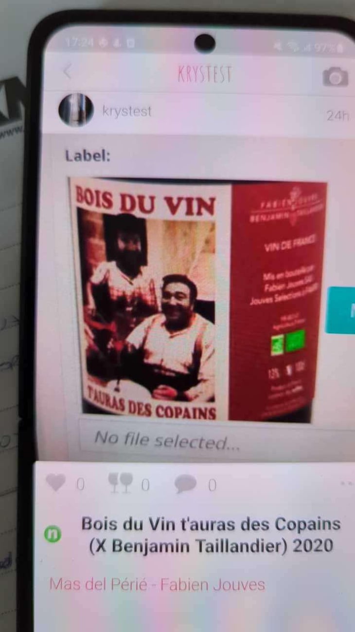 Bois du Vin t'auras des Copains (X Benjamin Taillandier) - Mas del Périé - Fabien Jouves 