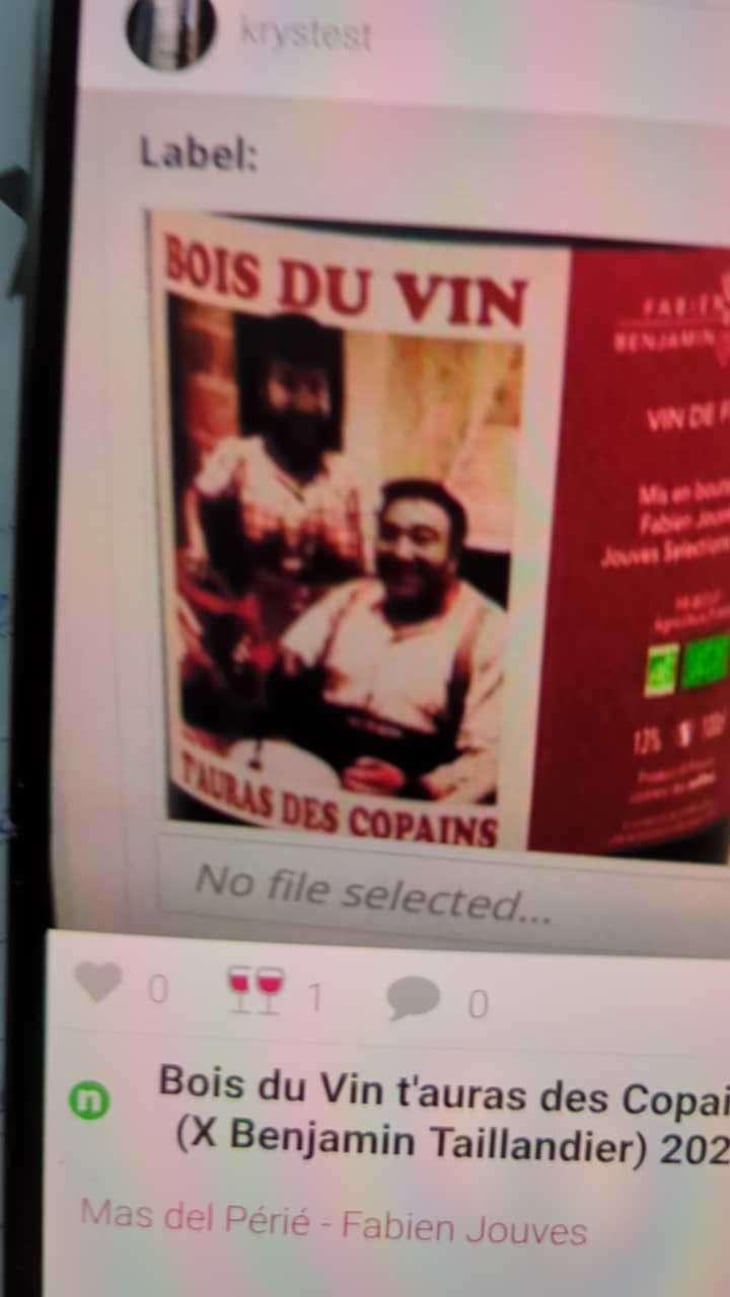 Bois du Vin t'auras des Copains (X Benjamin Taillandier) - Mas del Périé - Fabien Jouves 