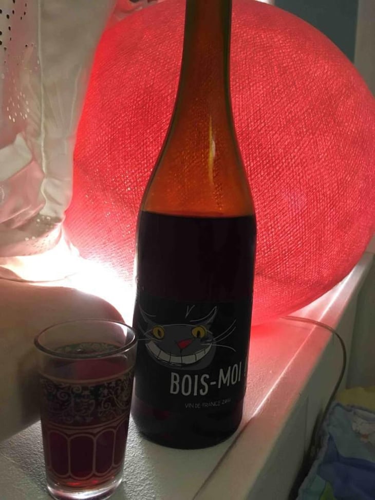 Bois Moi - Vin des Potes - Basile Passe -2013