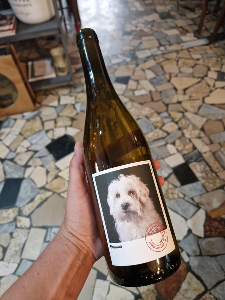 Bolinha - Casa de Mouraz - António Lopes Ribeiro & Sara Dionisio 