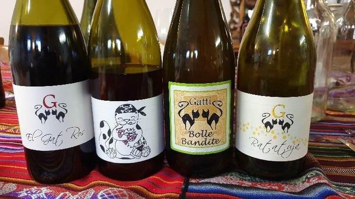 Bolle Bandite - Azienda Agricola Gatti - Carolina Gatti 