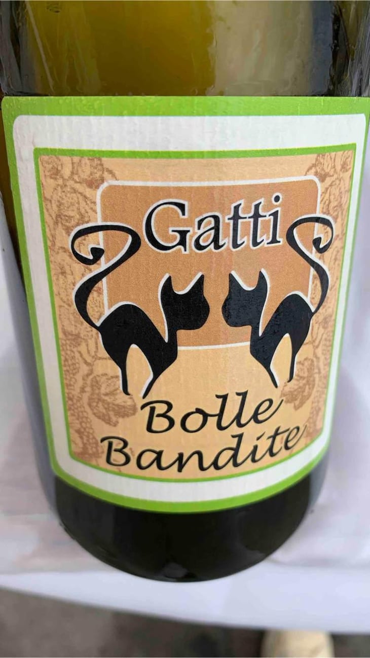 Bolle Bandite - Azienda Agricola Gatti - Carolina Gatti 