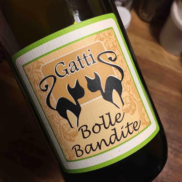 Bolle Bandite - Azienda Agricola Gatti - Carolina Gatti 