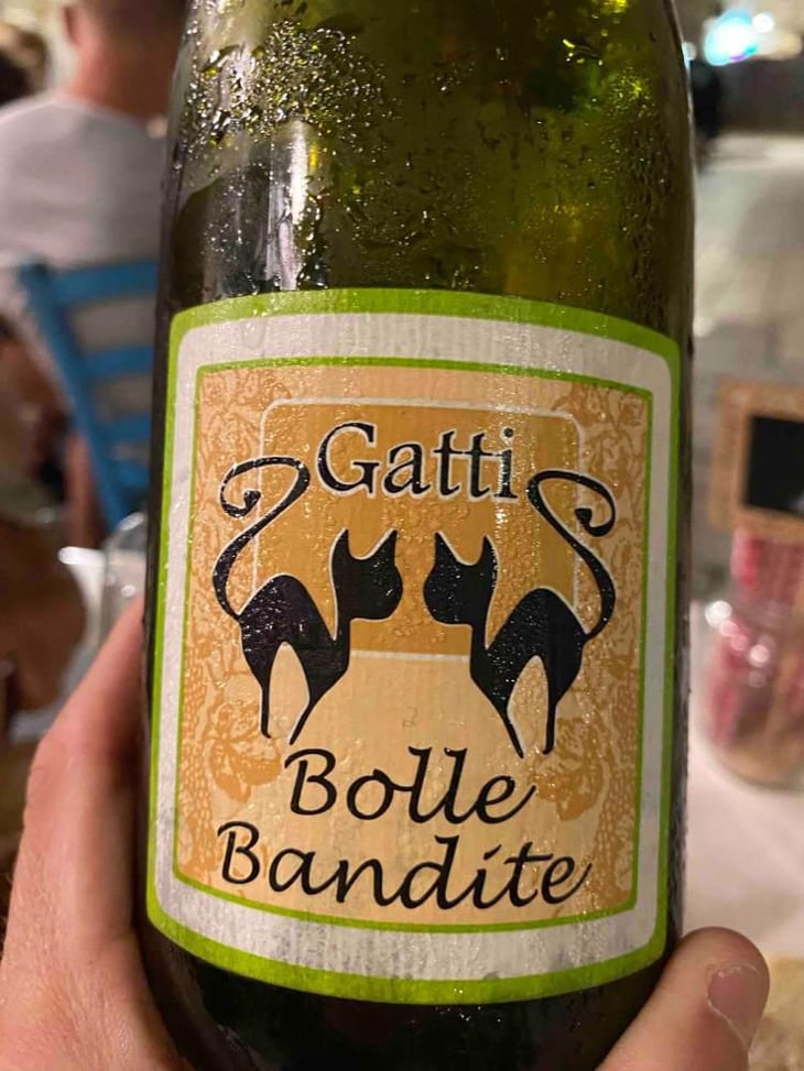 Bolle Bandite - Azienda Agricola Gatti - Carolina Gatti 