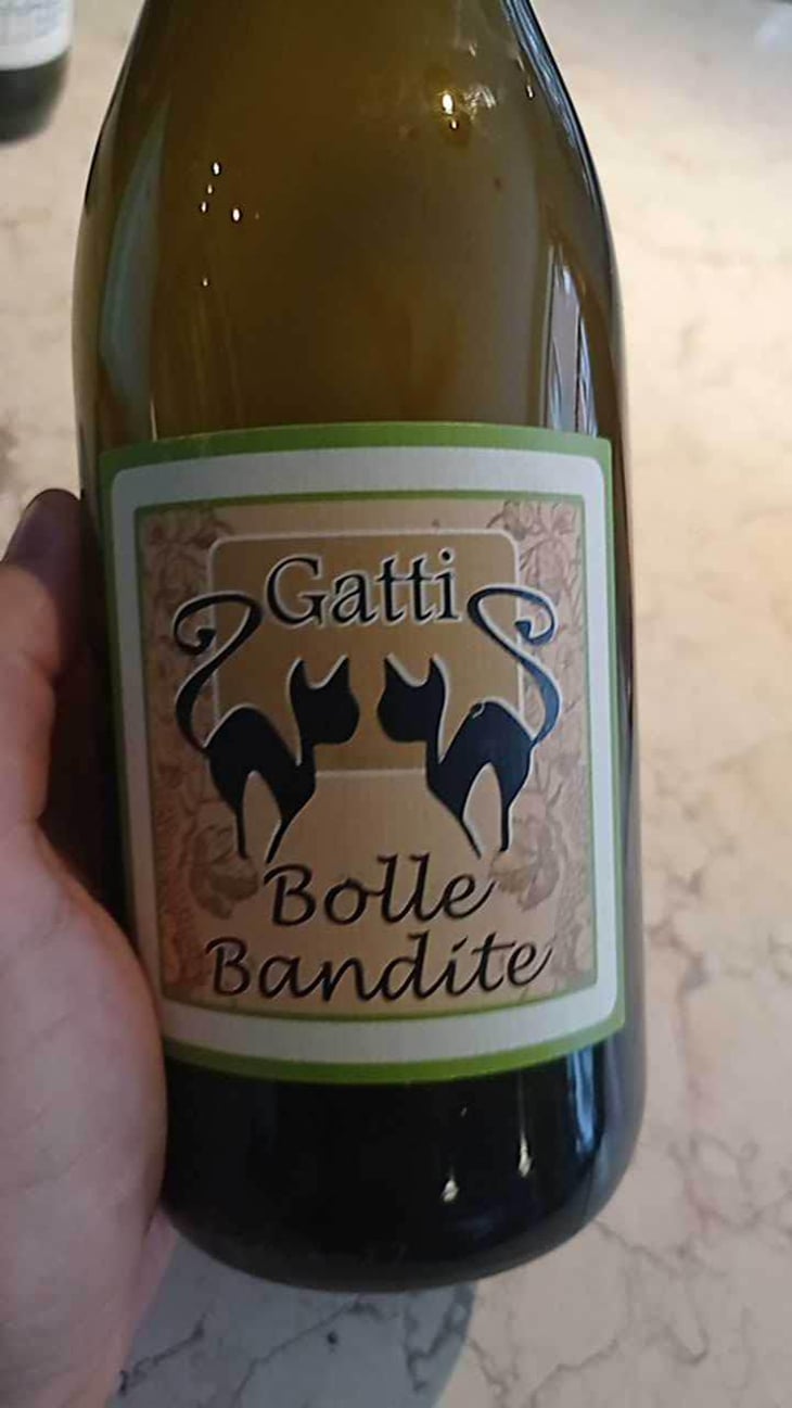 Bolle Bandite - Azienda Agricola Gatti - Carolina Gatti 