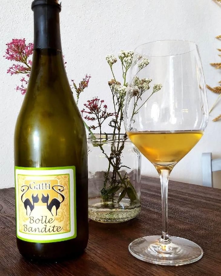 Bolle Bandite - Azienda Agricola Gatti - Carolina Gatti 