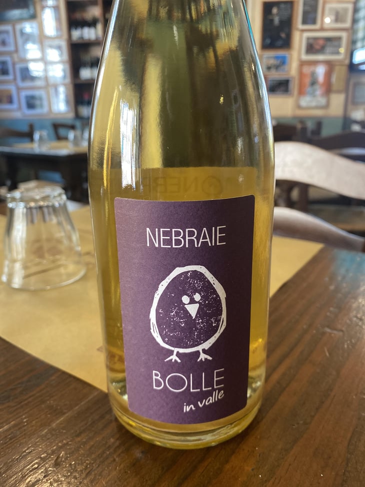 BOLLE in valle - Azienda Agricola Nebraie - Andrea Tacchella -2022