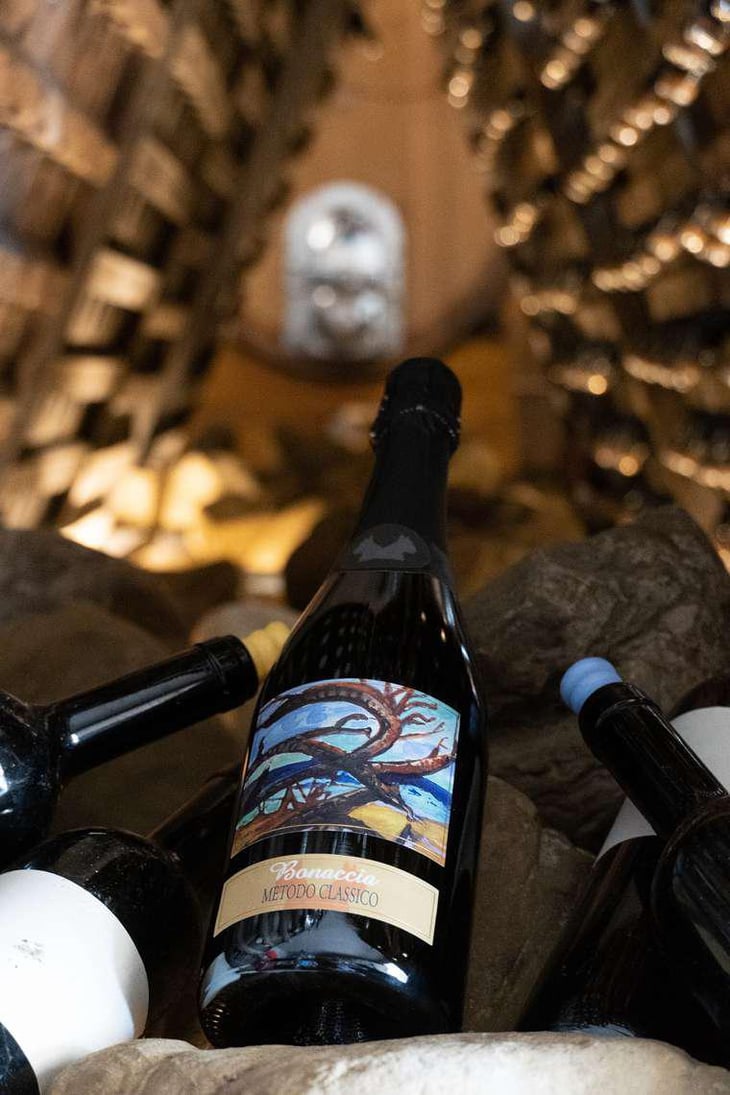 Bonaccia - Podere della Bruciata - Andrea Rossi 