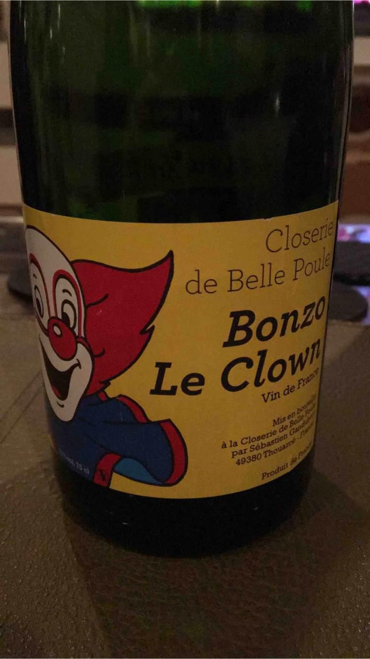 Bonzo le Clown - Closerie de Belle-Poule - Sébastien Gandubert 